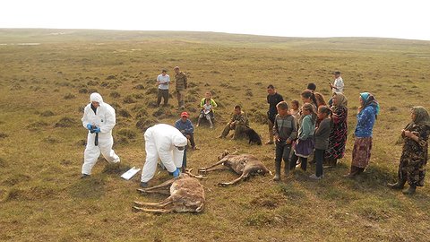 Страх перед властью страшнее страха смерти