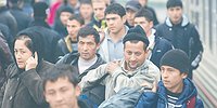 Тревожные симптомы растущей занятости
