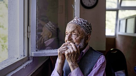 На птичьем языке